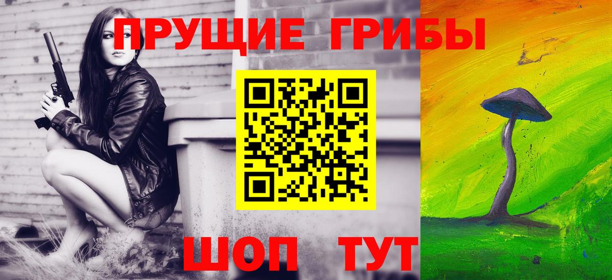 Псилоцибиновые грибы Psilocybine cubensis  Вход с VPN  Петропавловск-Камчатский 