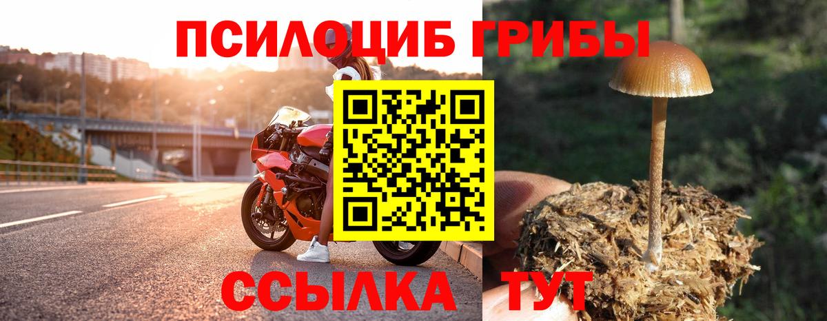 Псилоцибиновые грибы GOLDEN TEACHER Петропавловск-Камчатский